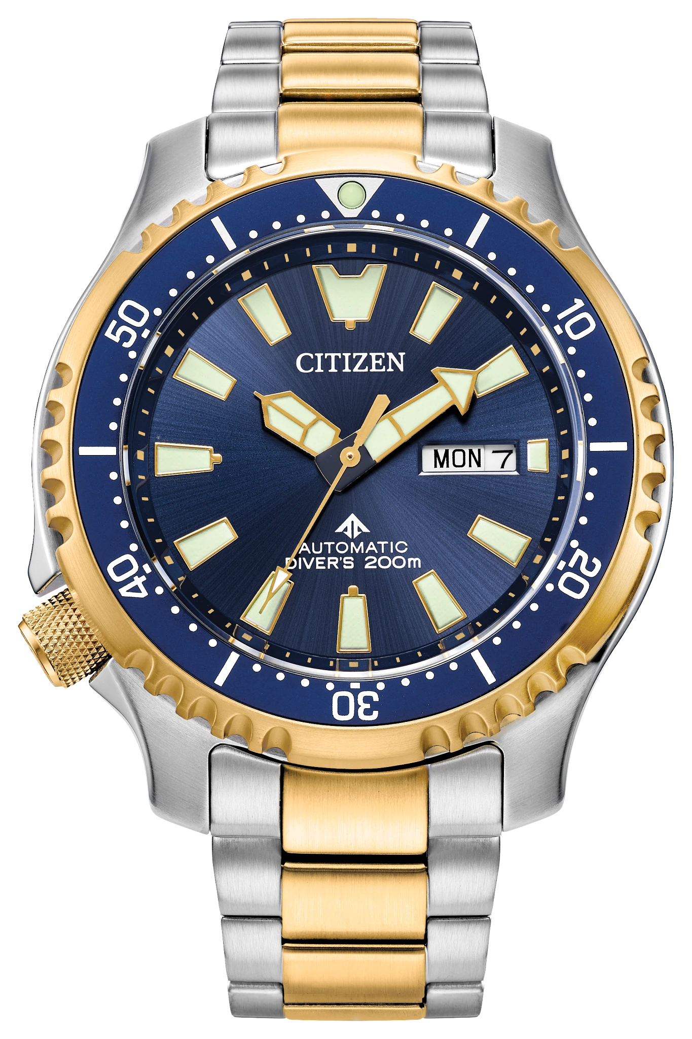 Promaster Dive Automatic Blue Dial Stainless Steel Bracelet NY0154